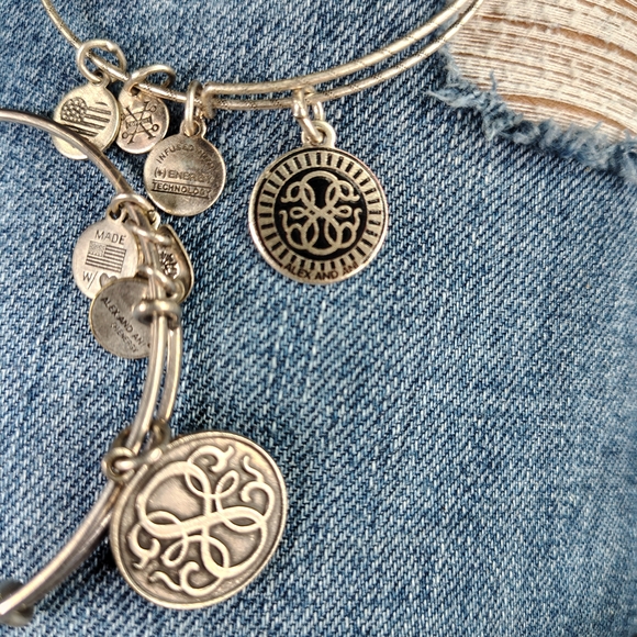 Alex and Ani Silver Charm Bangles - Picture 1 of 6
